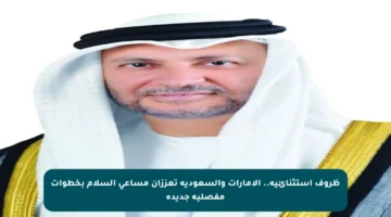 ظروف استثنائية.. الإمارات والسعودية تعززان مساعي السلام بخطوات مفصلية جديدة